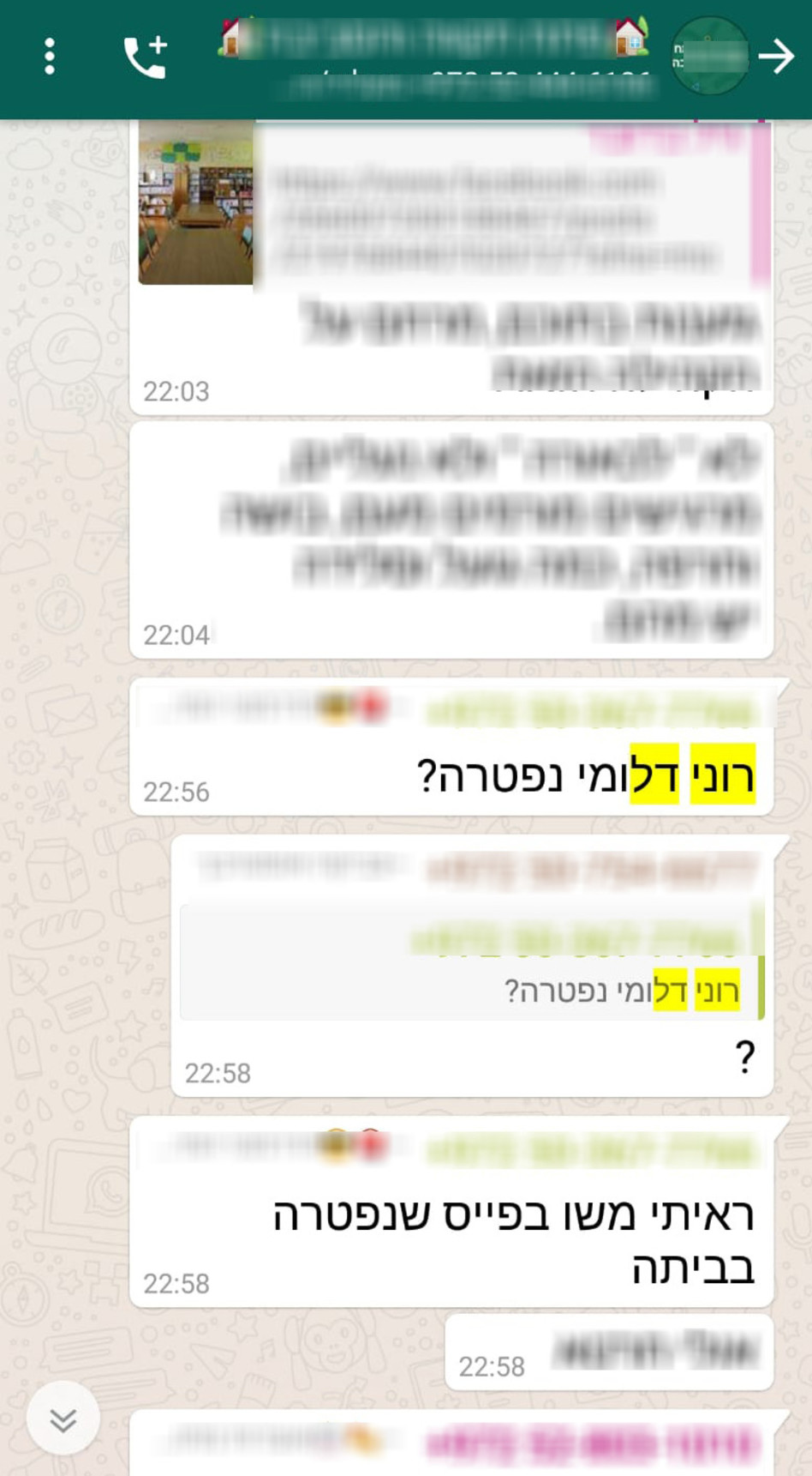 שמועות בוואטס אפ (צילום מסך)