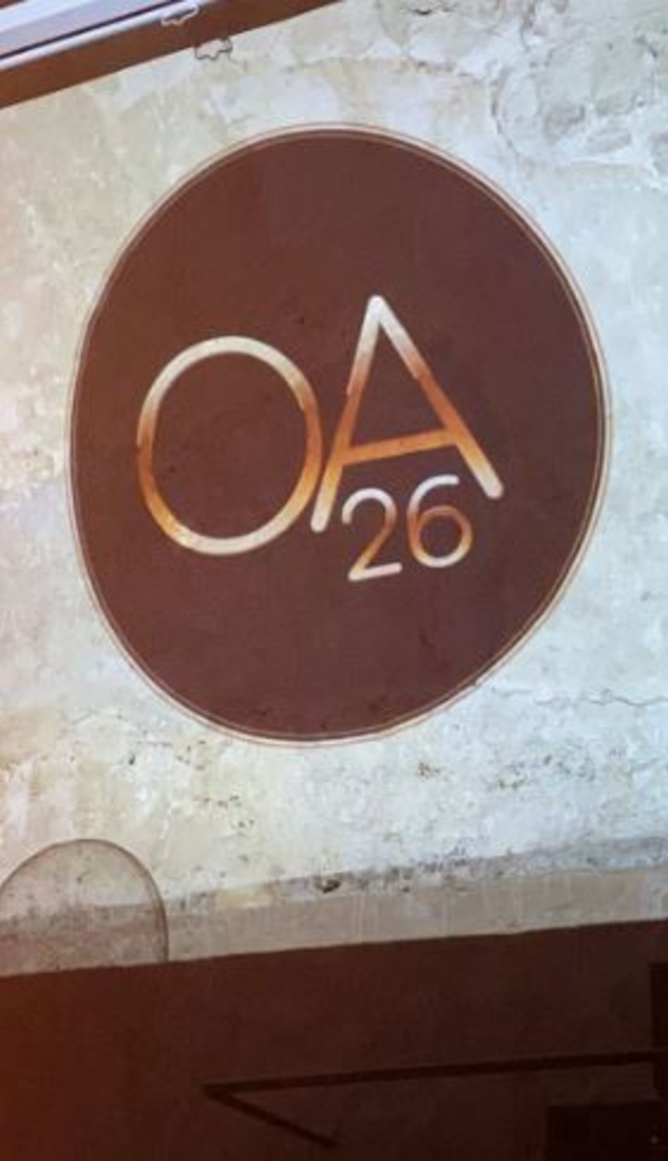 אירוע ממותג (צילום: אינסטגרם)