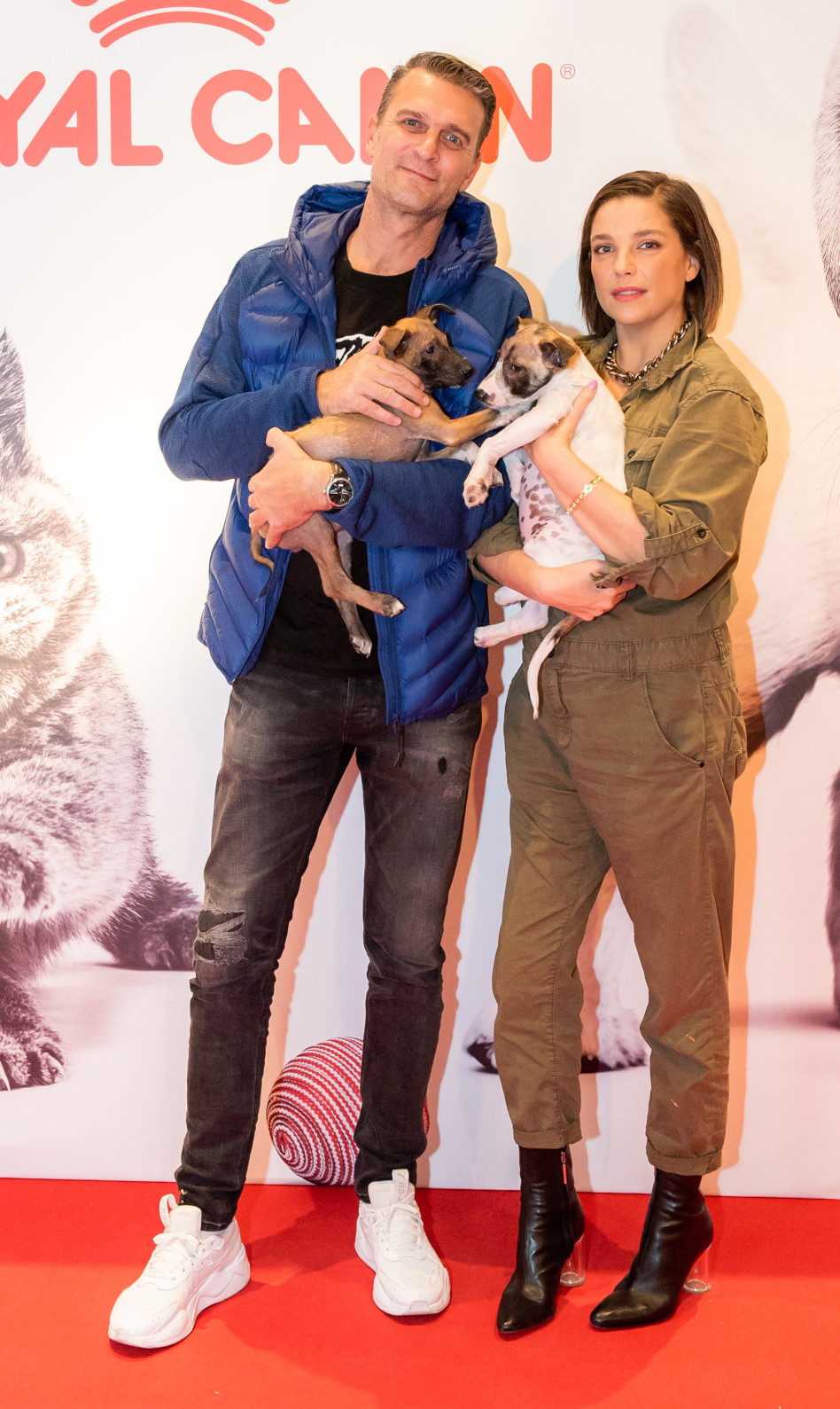 לירן שטראובר וטל טלמון (צילום: גדי סירה)