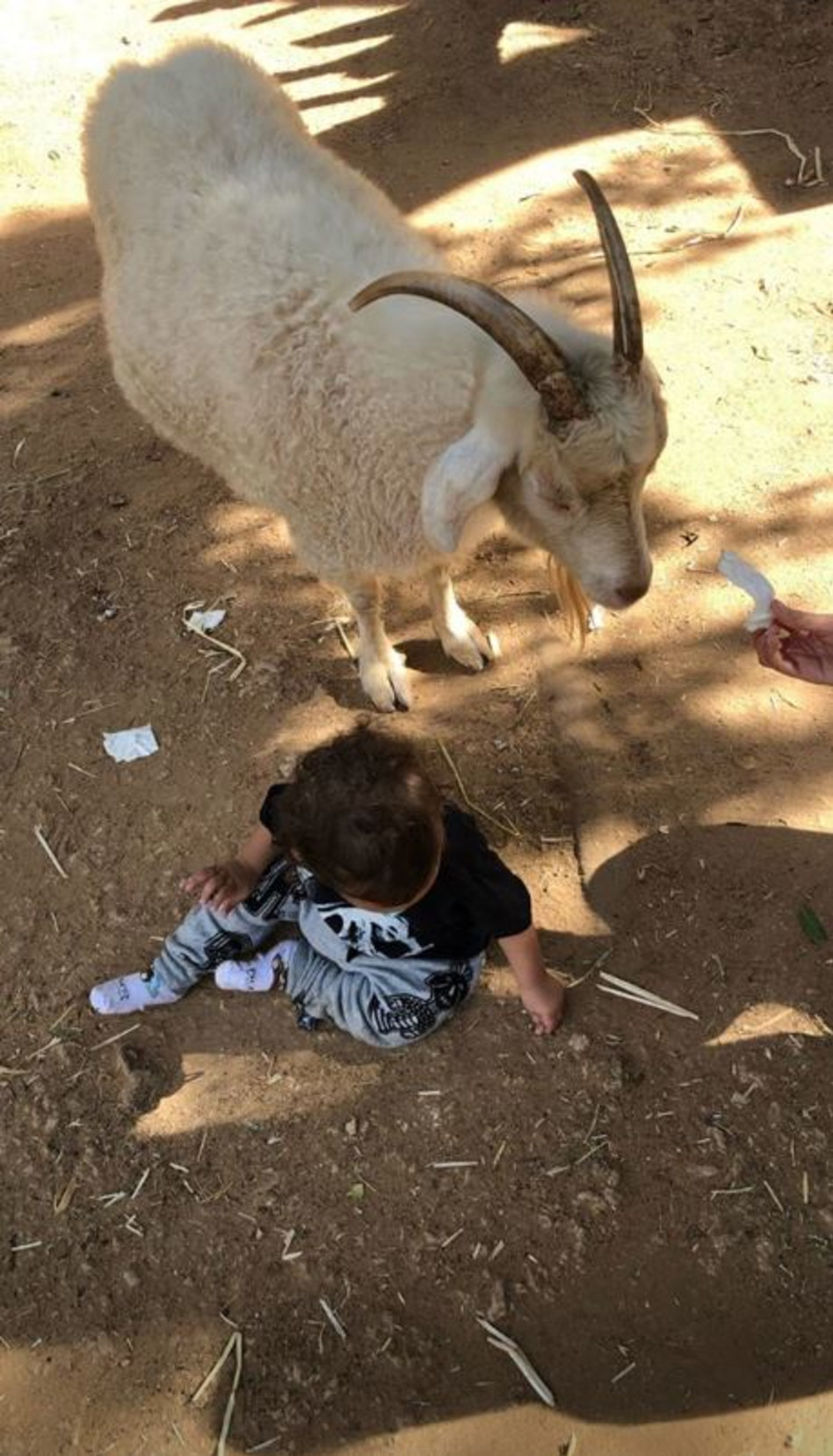 כזה מתוק (צילום: אינסטגרם)