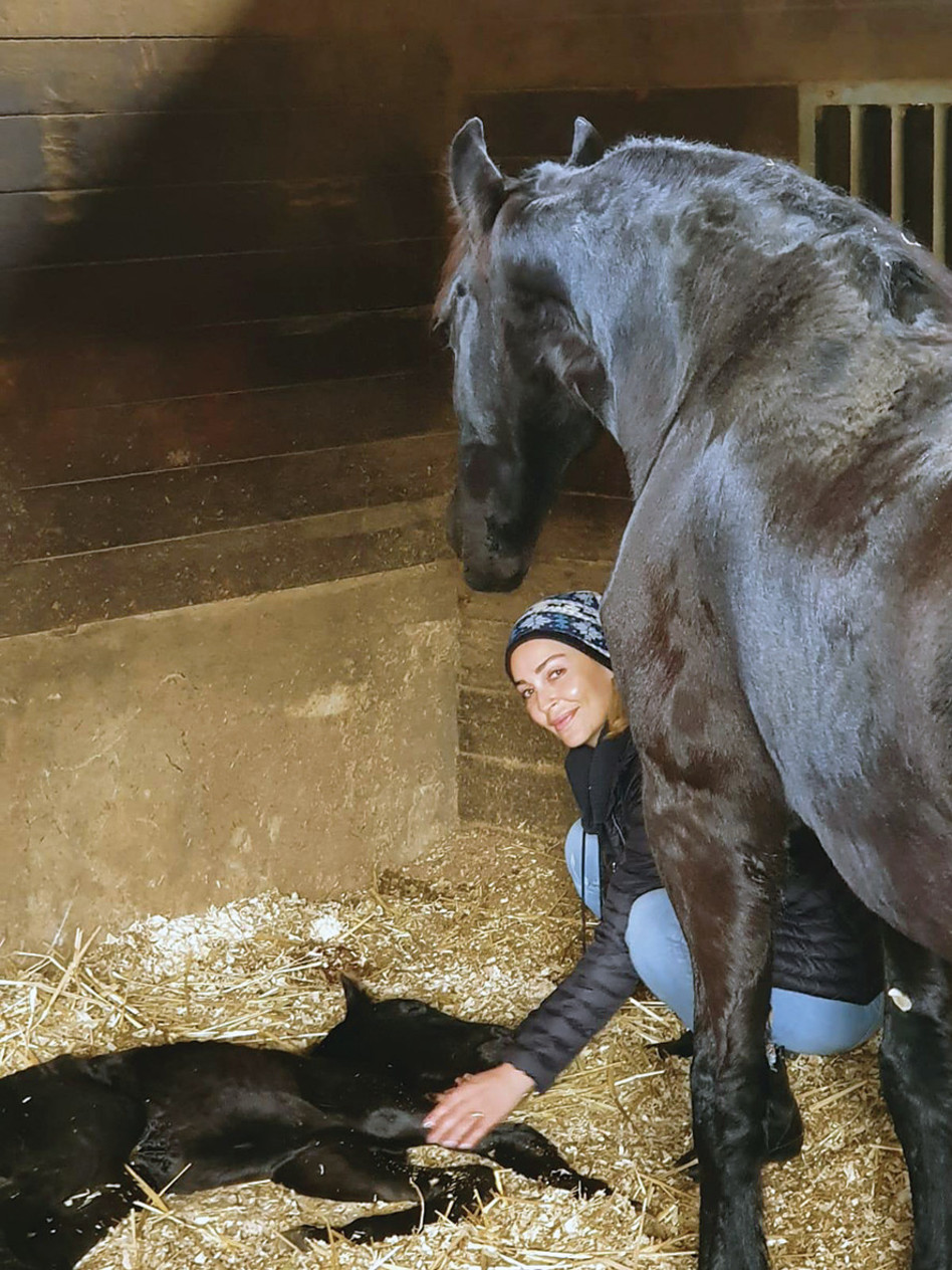 מירי בוהדנה (צילום: אריאל דנינו)