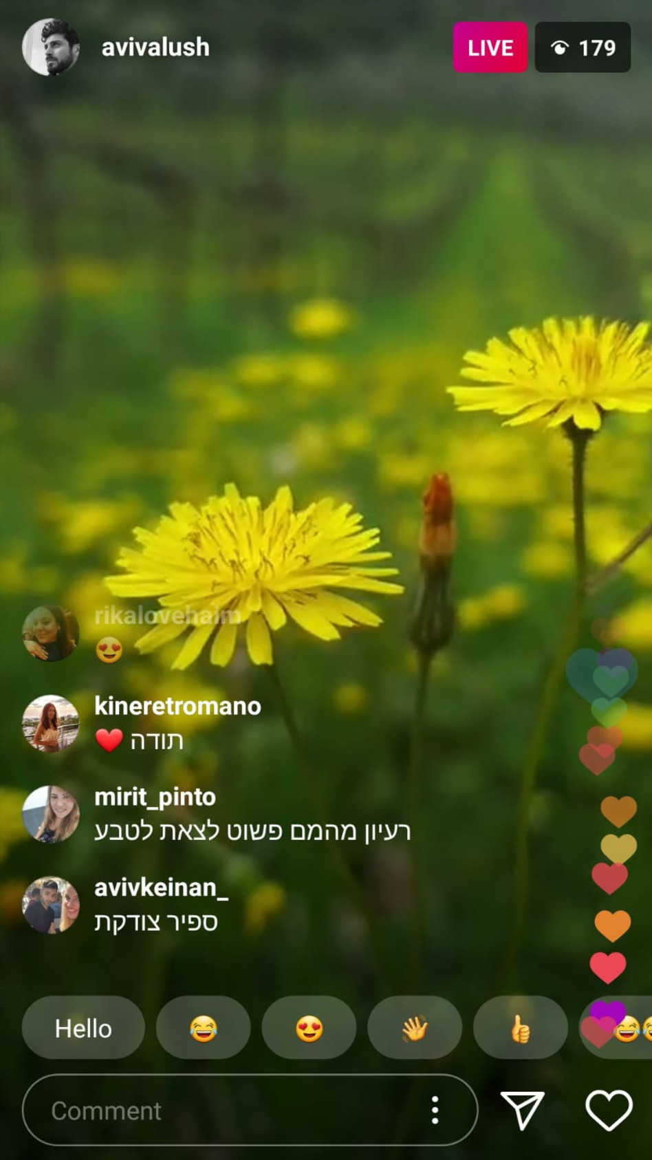 אביב אלוש יצא לטבע (צילום: צילום מסך אינסטגרם)