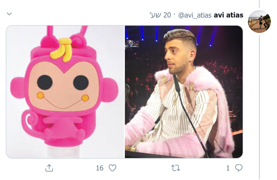 (צילום: טוויטר)