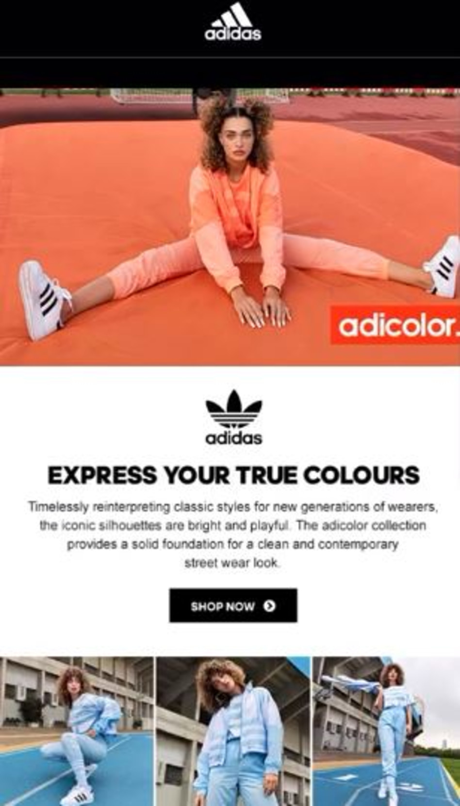 עדן פינס באתר העולמי של אדידס (צילום: צילום מסך)