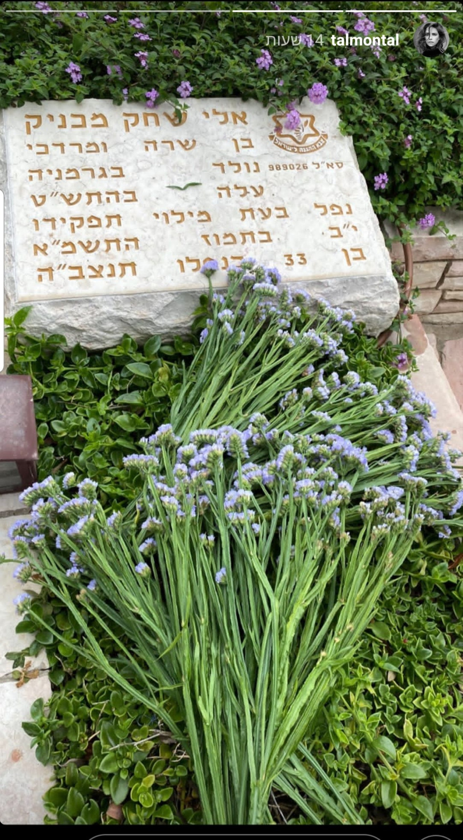 טל טלמון בקבר של דודה ז