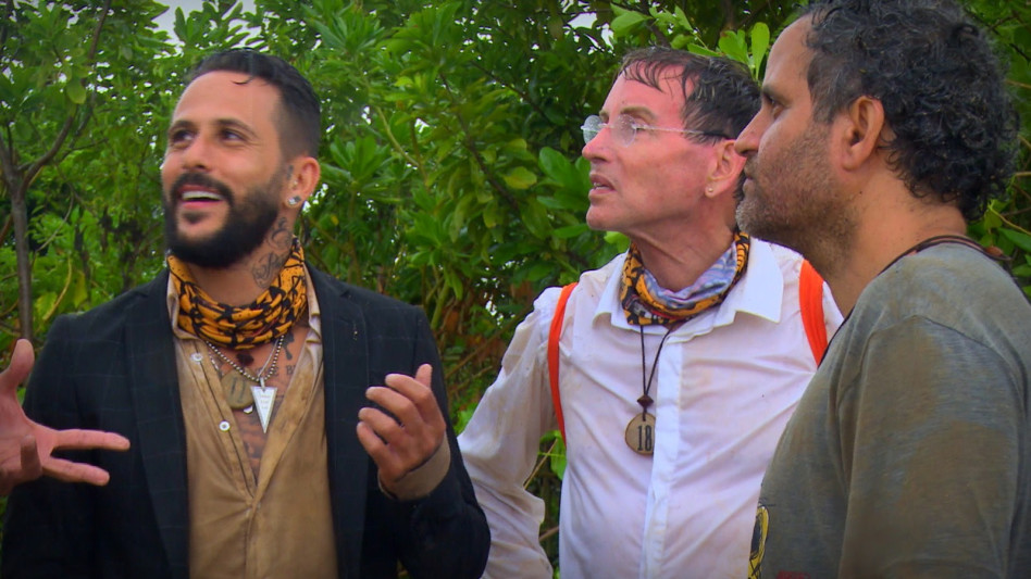 דוד דביר  (צילום: צילום מסך רשת 13)