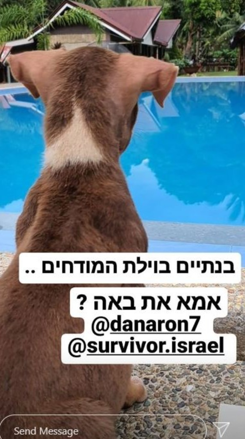 רז ספני על דנה רון  (צילום: צילום מסך אינסטגרם)