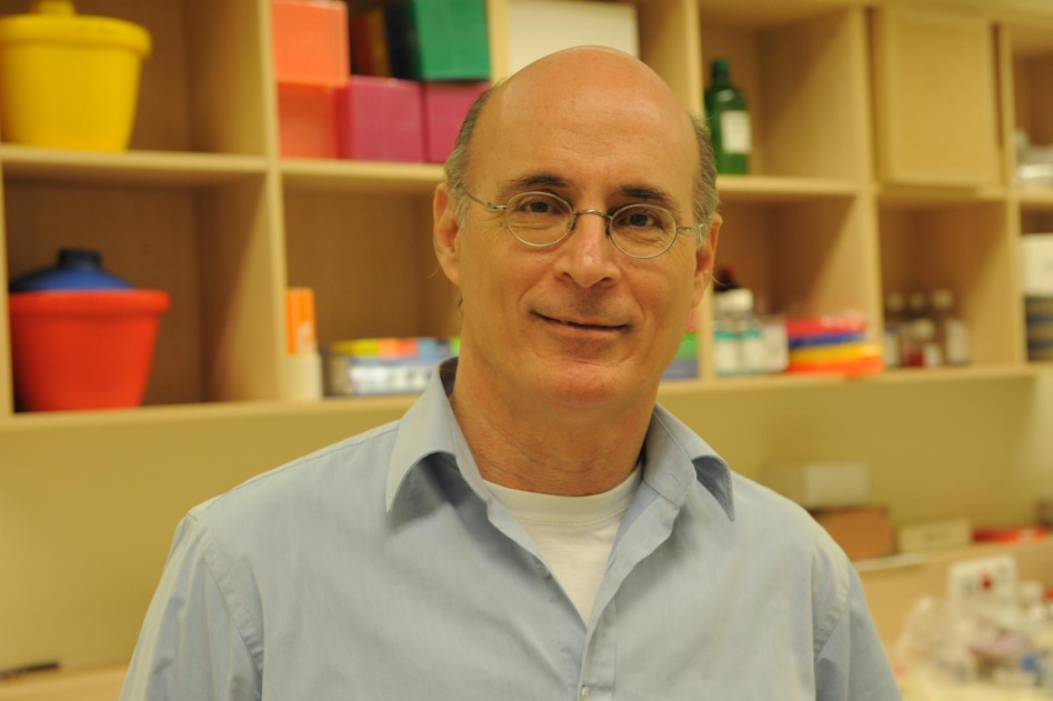 גידי רכבי (צילום: יח''צ שיבא)