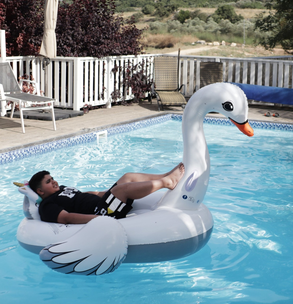 דקל וקנין (צילום: טוהר זנתי)