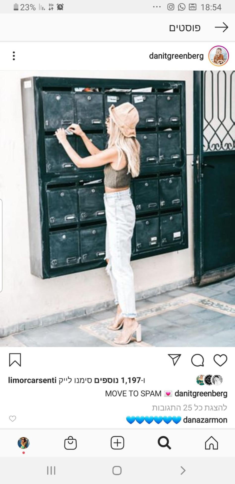 הפוסט של דנית גרינברג (צילום: אינסטגרם)