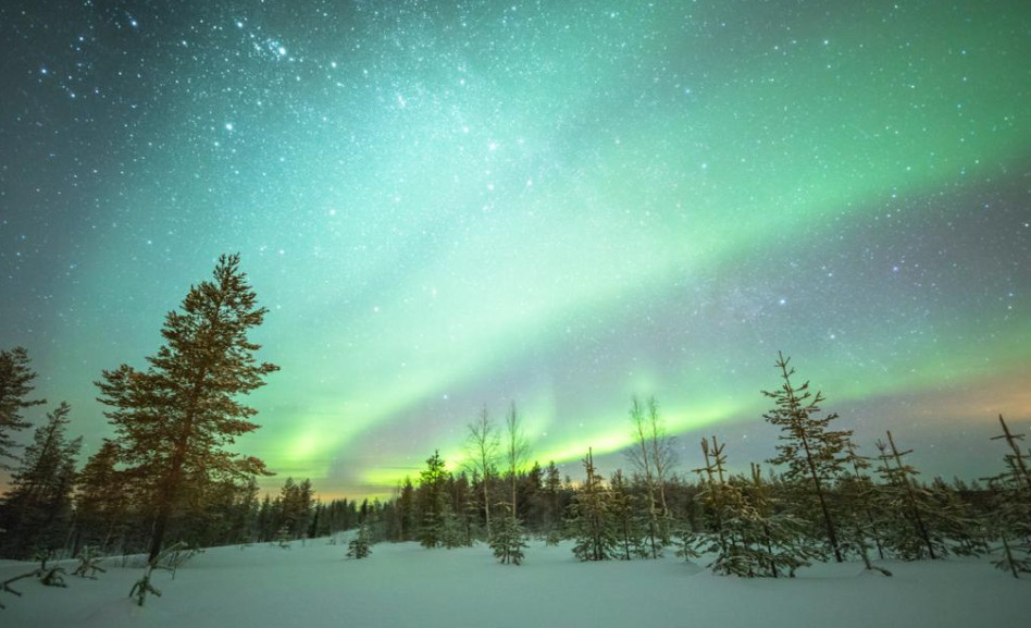 אופטימיות, הלאונג' (צילום: יגאל צ'ודנר )