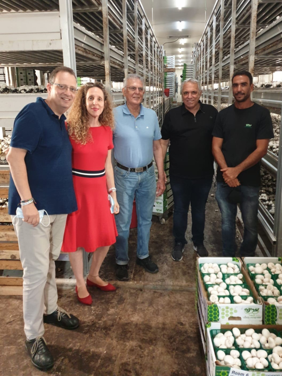 יחיאב אלמקייס רמו בן שושן, דן שכטמן, אריאל להמן-הלוי וגלעד הלוי (צילום: מרינה פטריות הגליל)