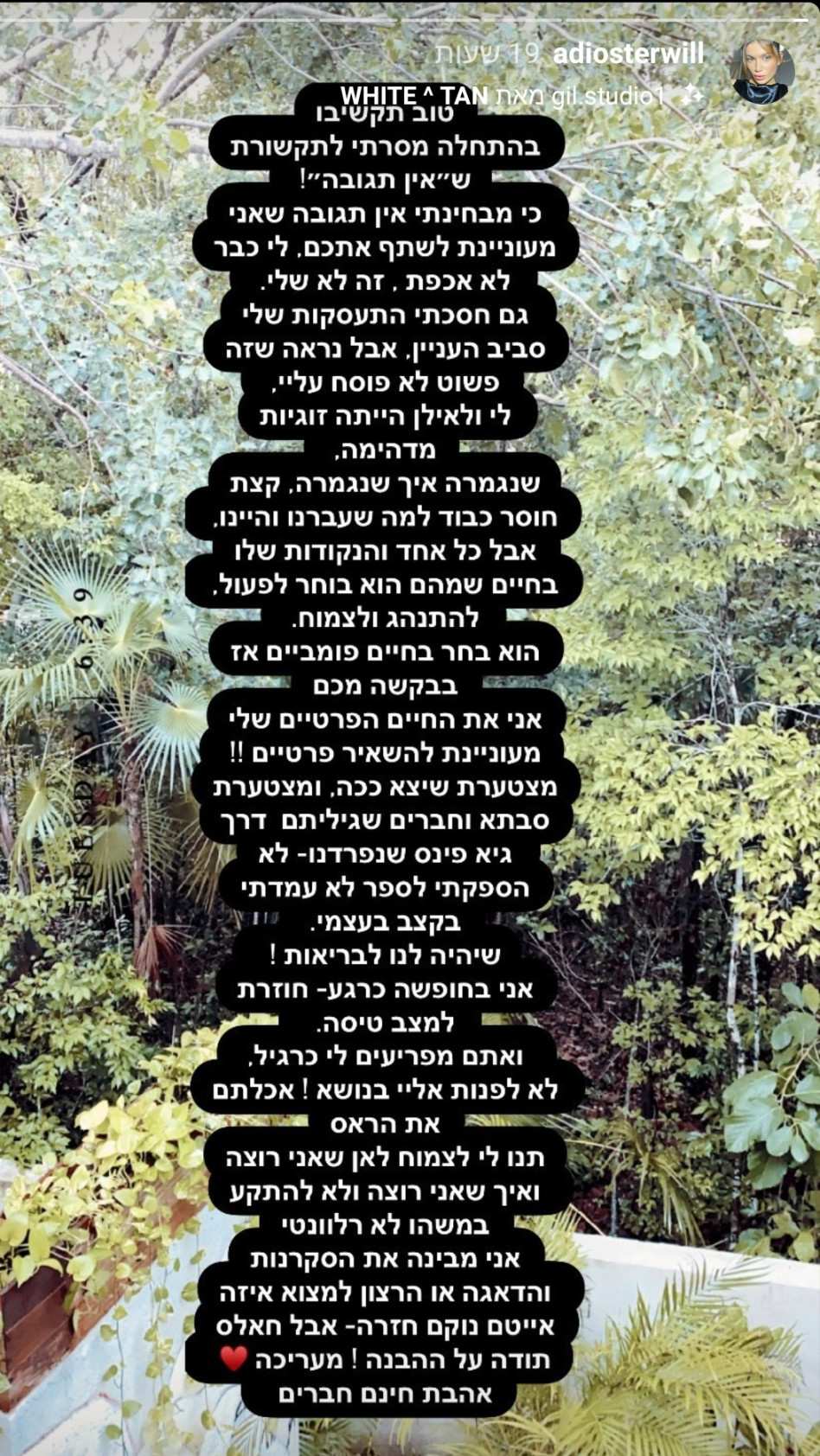 תגובתה של האקסית לזוגיות החדשה של פינס ומסיקה (צילום: צילום מסך אינסטגרם)