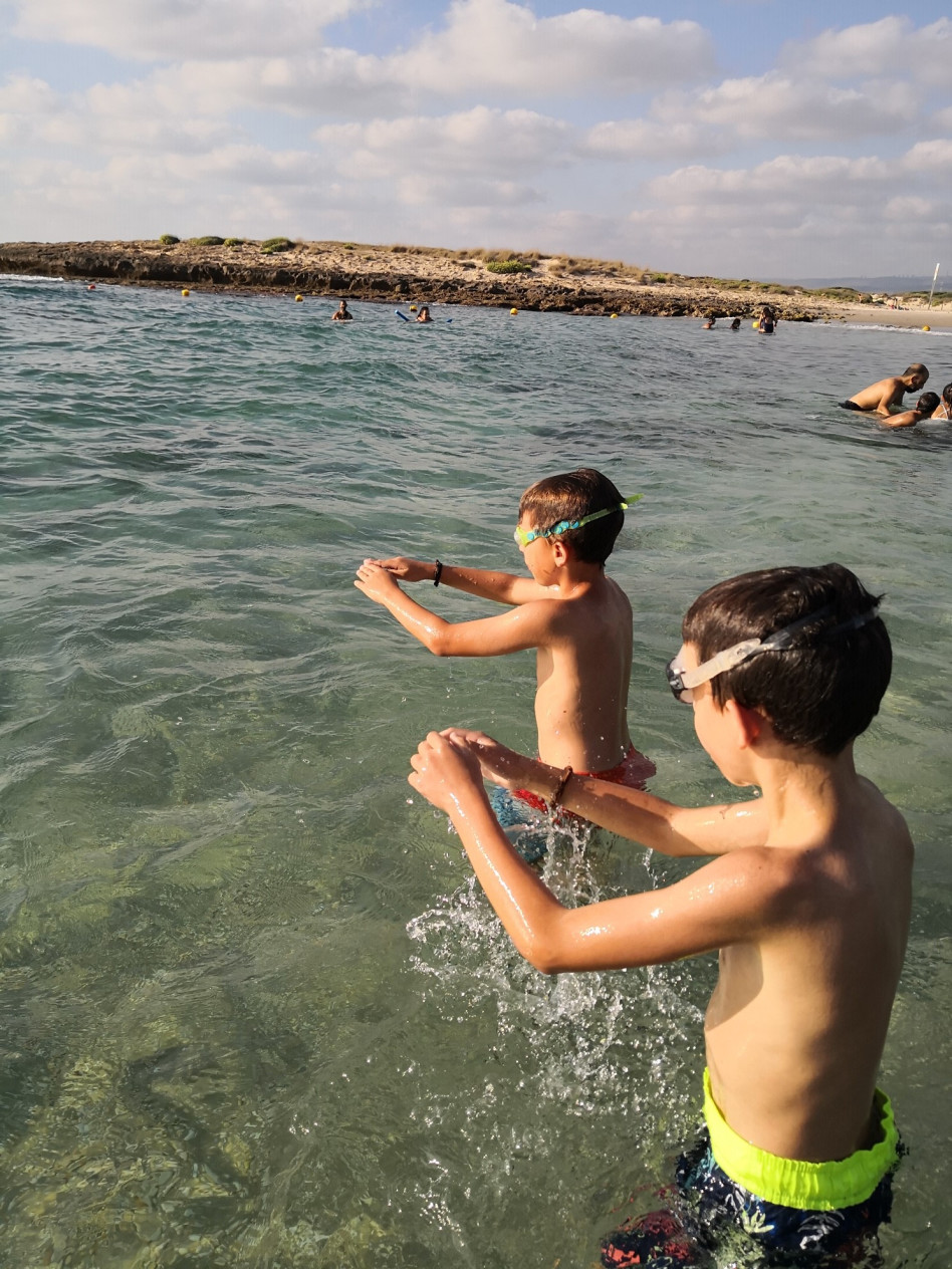 הלאונג', אופטימי (צילום: פרטי)