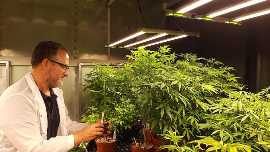 עדו מרגלית (צילום: יח''צ)