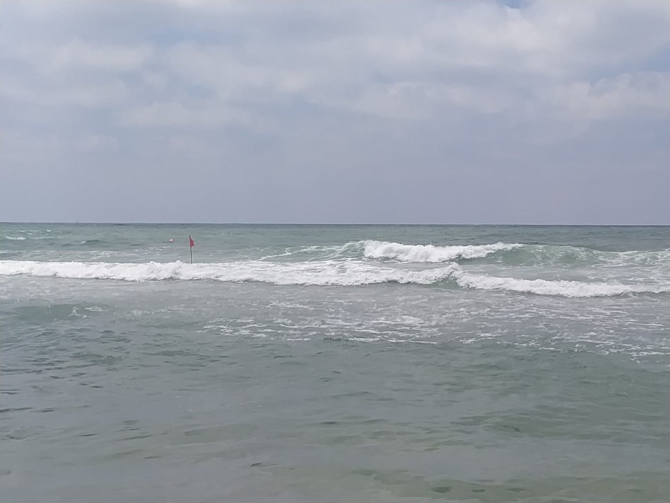 הלאונג', אופטימי (צילום: פרטי)