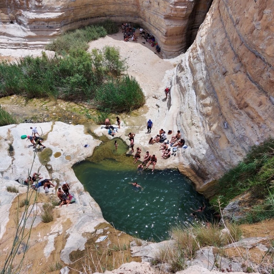 הלאונג', רגע של אופטימיות (צילום: פרטי)