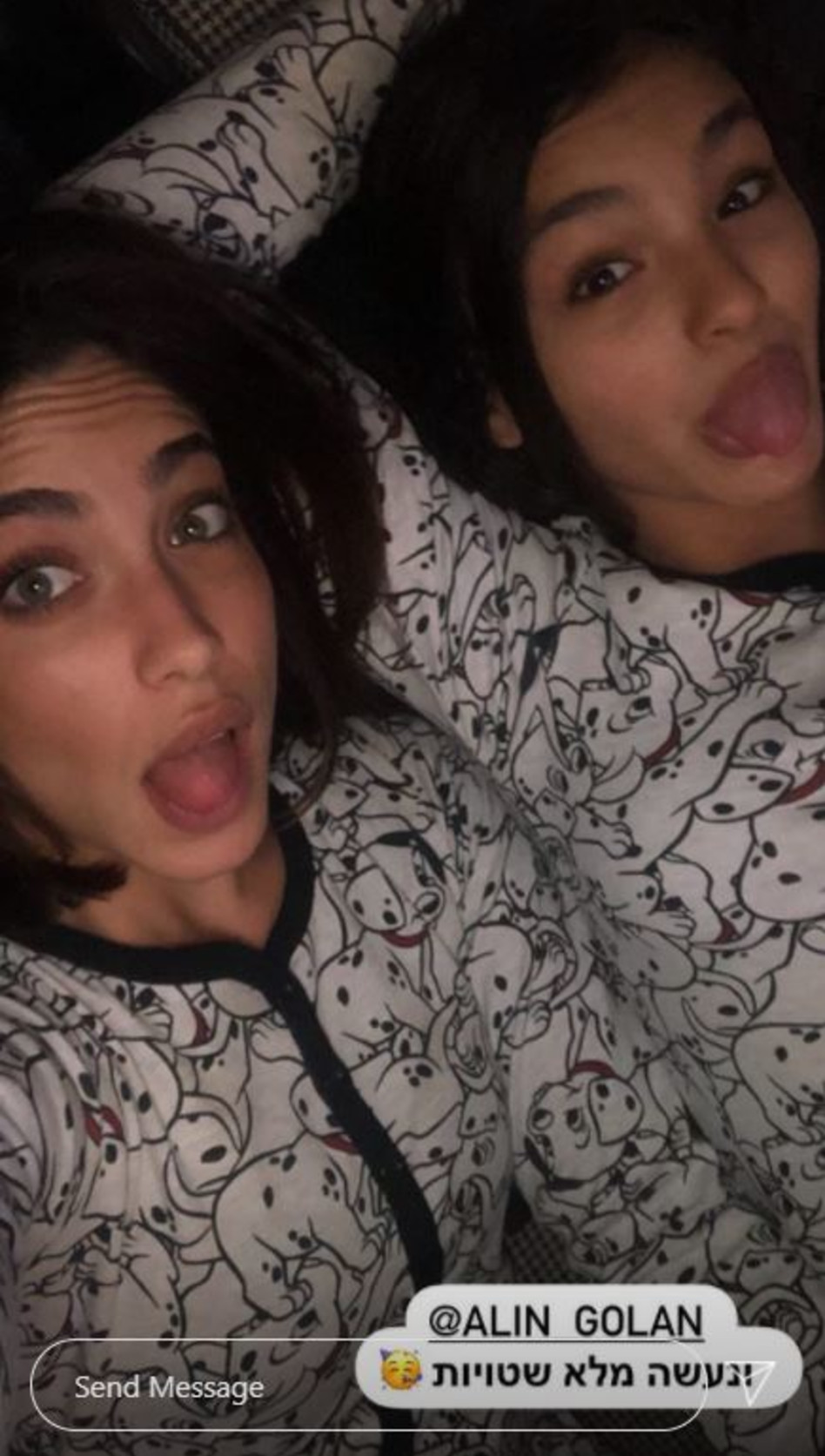אלין גולן, דניאל גרינברג (צילום: צילום מסך אינסטגרם)