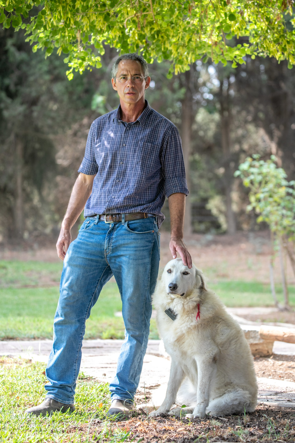 גלעד שרון (צילום: יוסי אלוני)