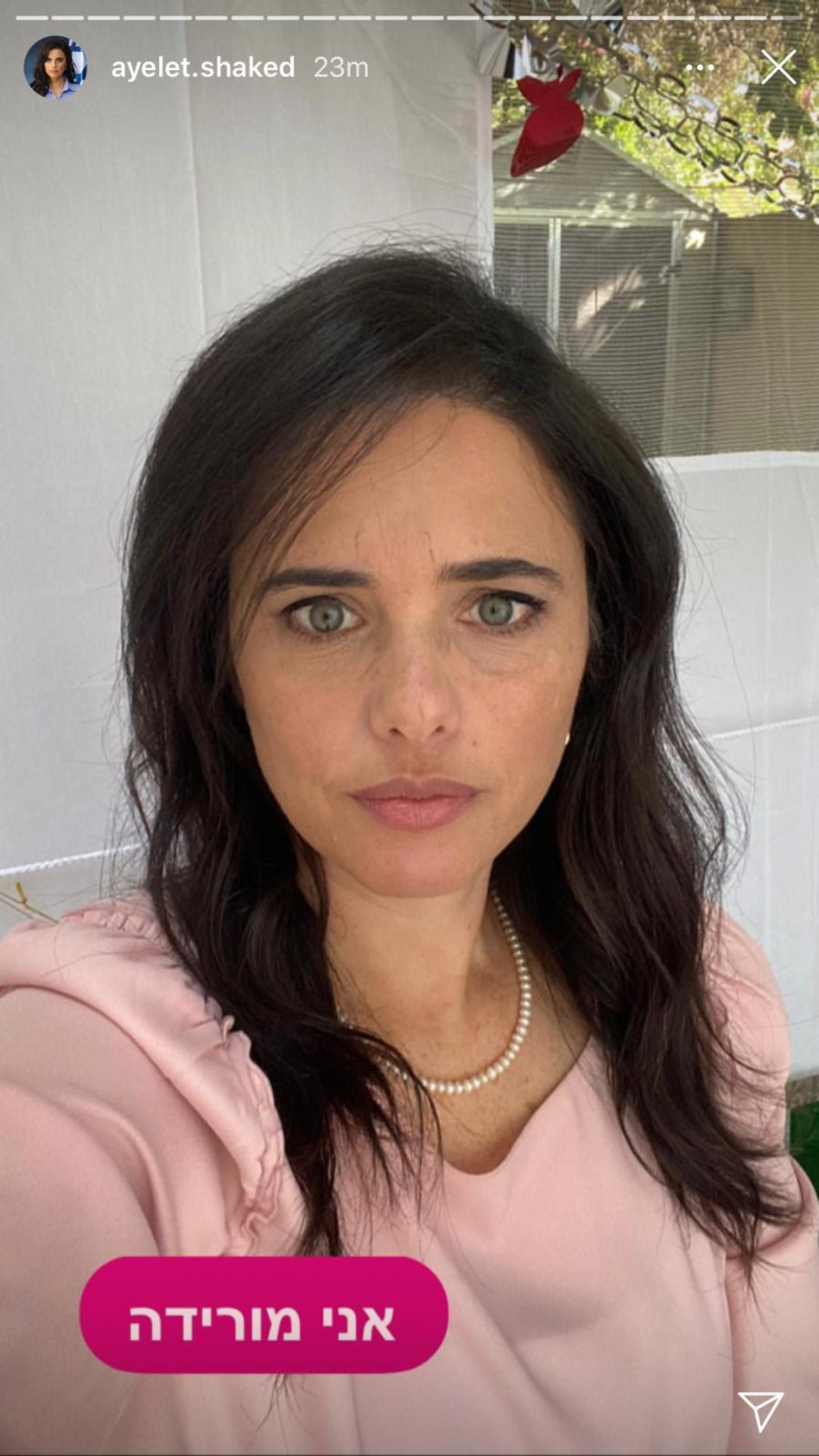 איילת שקד (צילום: צילום מסך אינסטגרם)