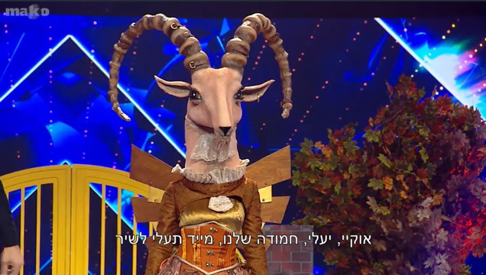 זמר במסכה, היעל (צילום: צילום מסך: קשת 12)