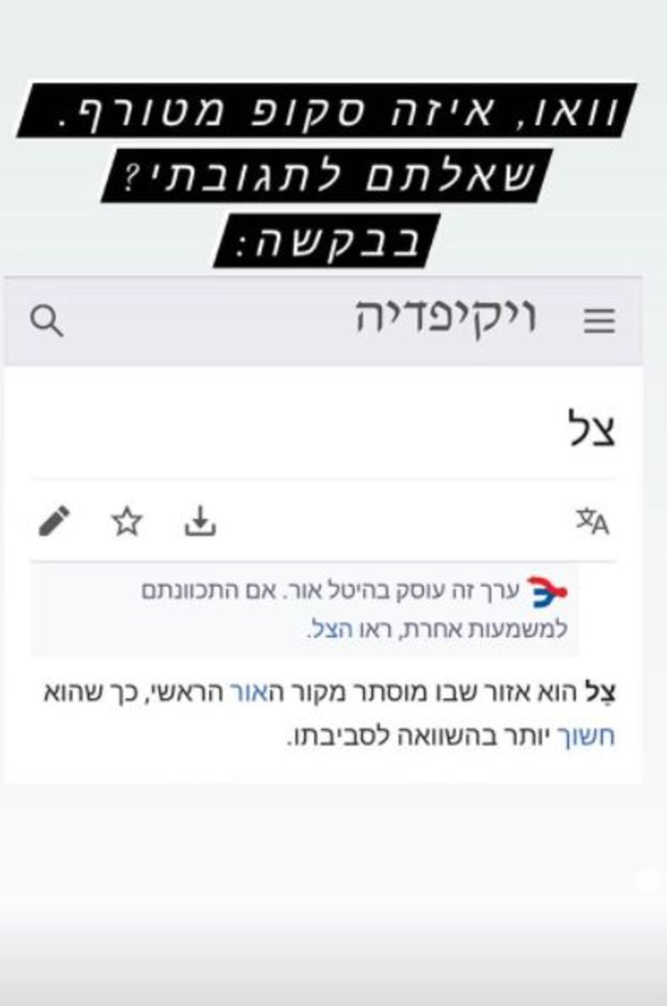 ניר אבישי כהן מגיב לצל (צילום: צילום מסך אינסטגרם)