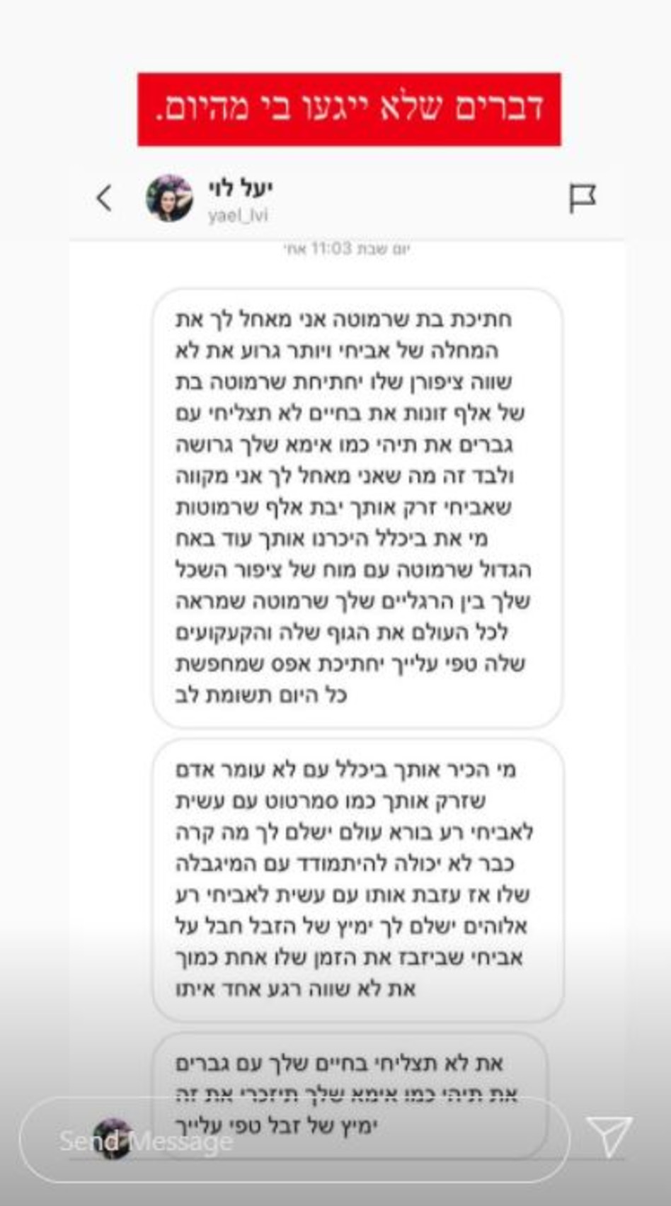 התגובות שמעיין אשכנזי מקבלת (צילום: צילום מסך אינסטגרם)