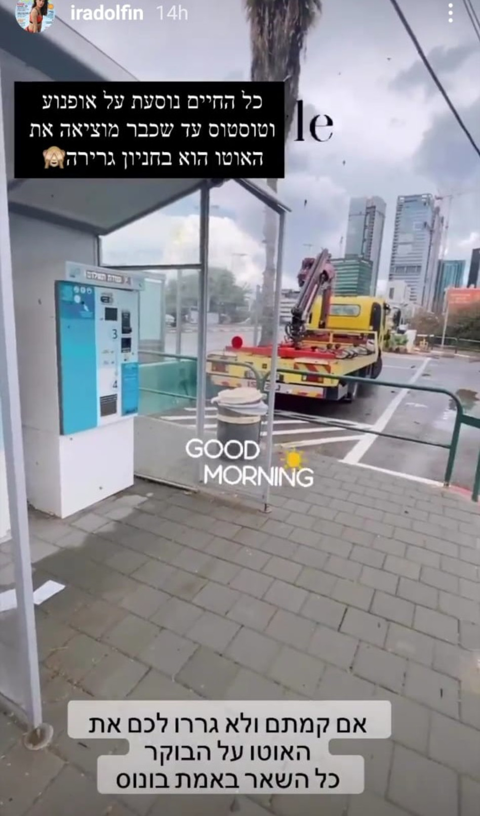 אירה דולפין (צילום: צילום מסך אינסטגרם)