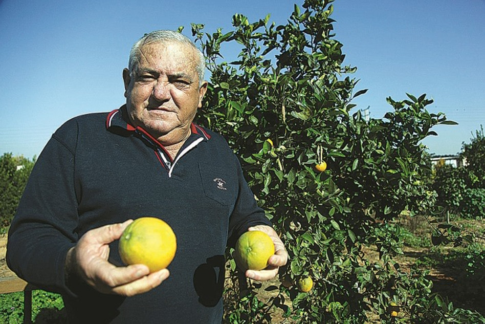 שלמה שרף (צילום: נאור רהב)
