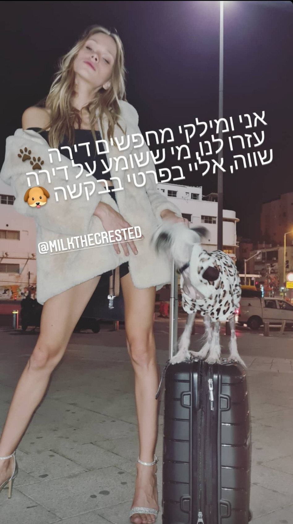 סתיו סטרשקו (צילום: צילום מסך אינסטגרם)