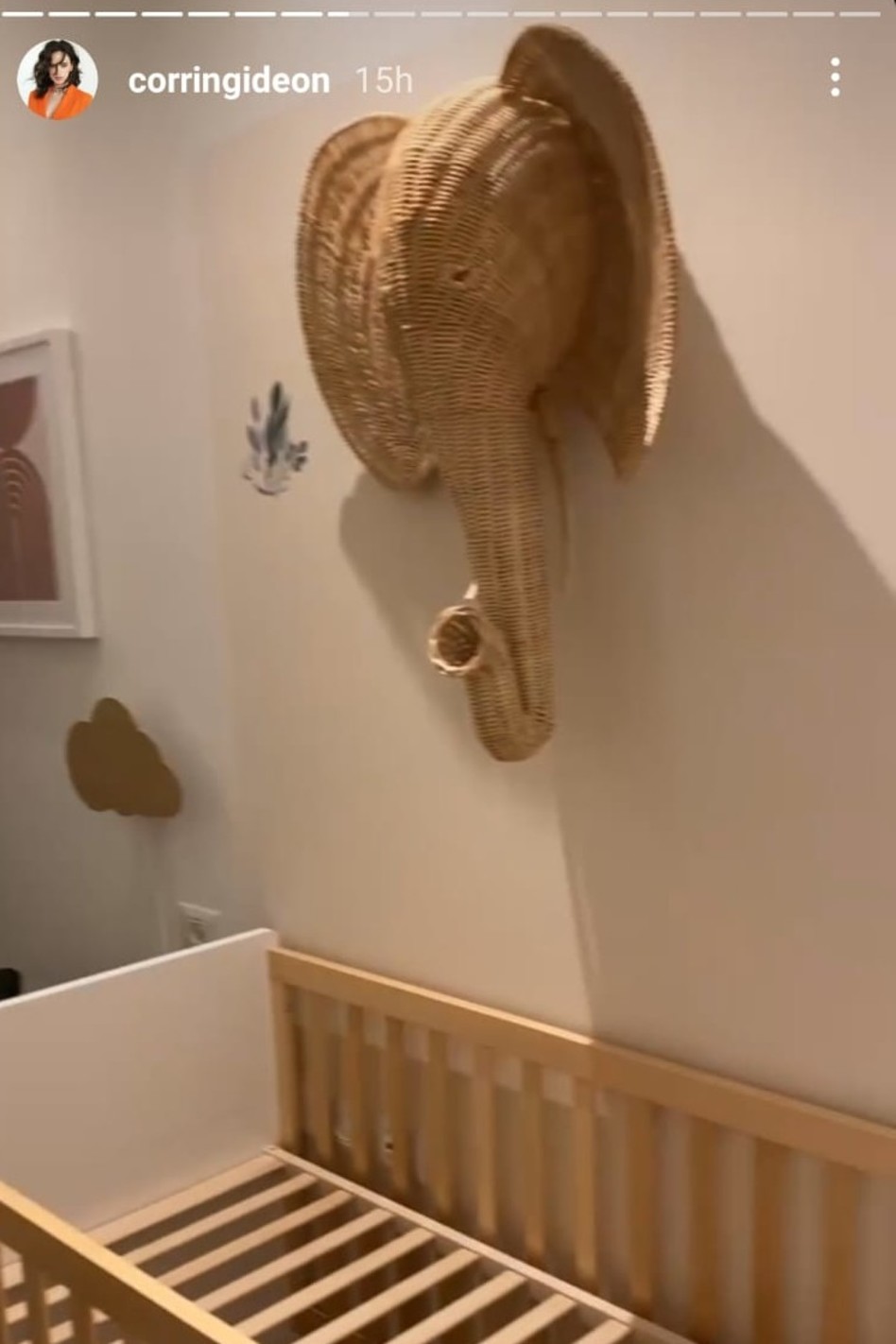 קורין גדעון (צילום: צילום מסך אינסטגרם)