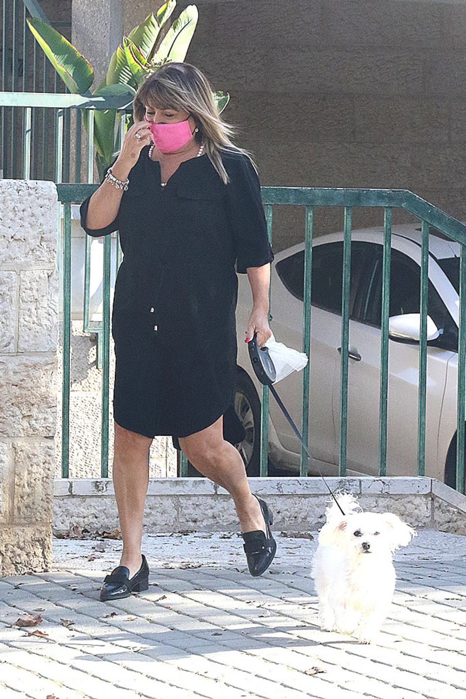 כלבים זה שמחה (צילום: פול סגל)