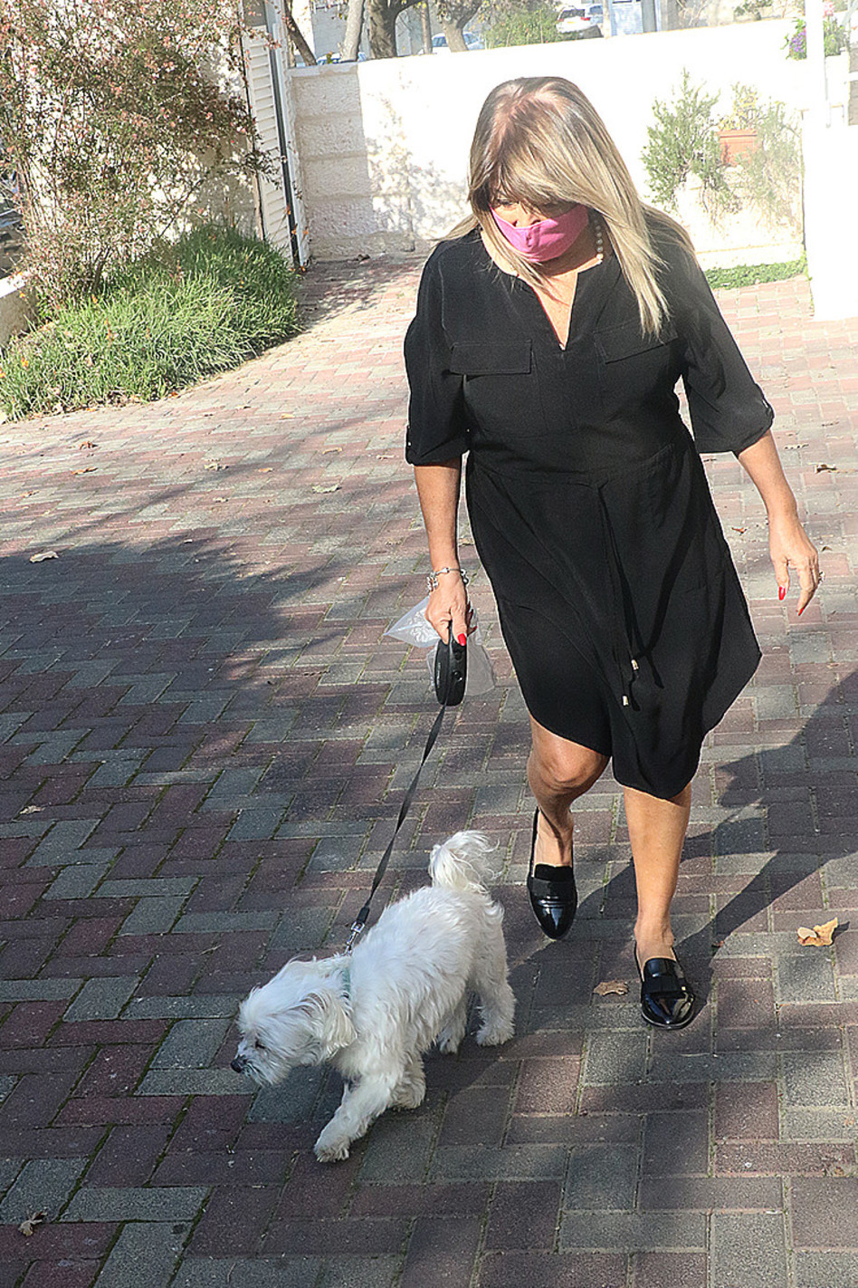 כלבים זה ברכה (צילום: פול סגל)