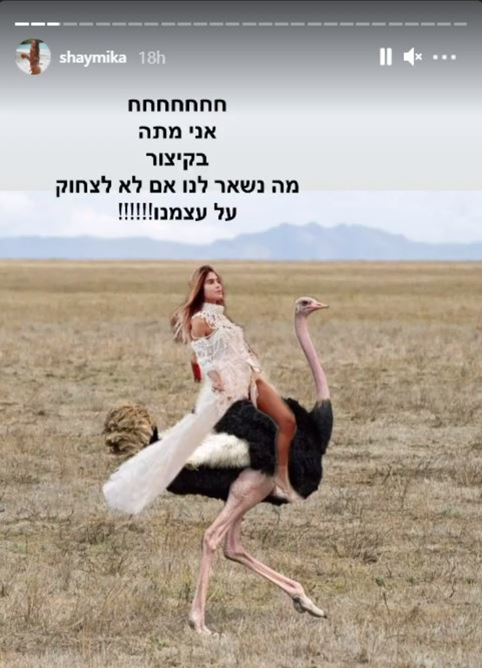 שי מיקה (צילום: צילום מסך אינסטגרם)