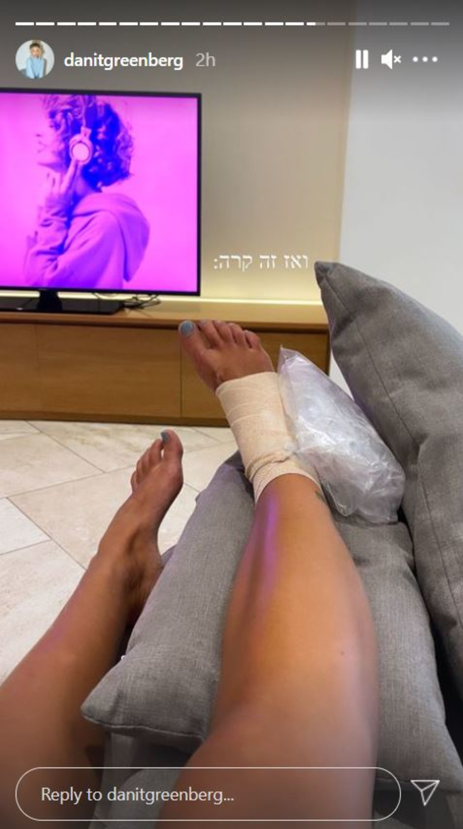 דנית גרינברג (צילום: צילום מסך)