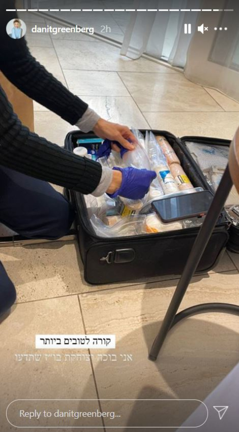 דנית גרינברג (צילום: צילום מסך אינסטגרם)