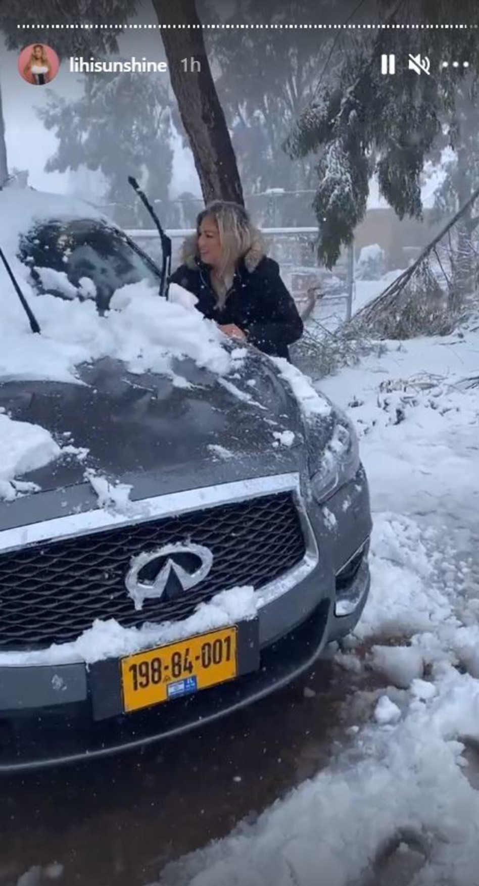 ליהיא גרינר (צילום: צילום מסך אינסטגרם)