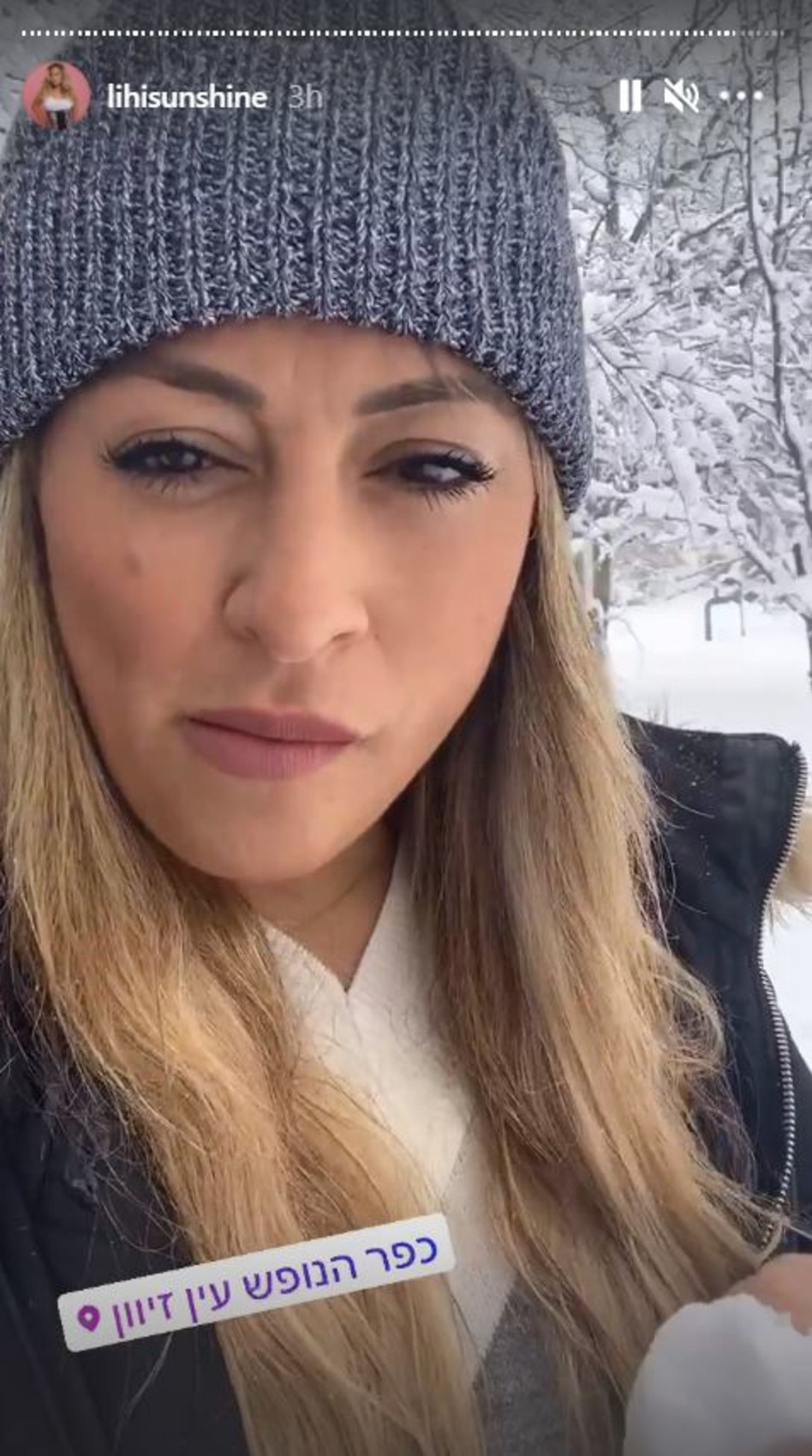 ליהיא גרינר (צילום: צילום מסך אינסטגרם)