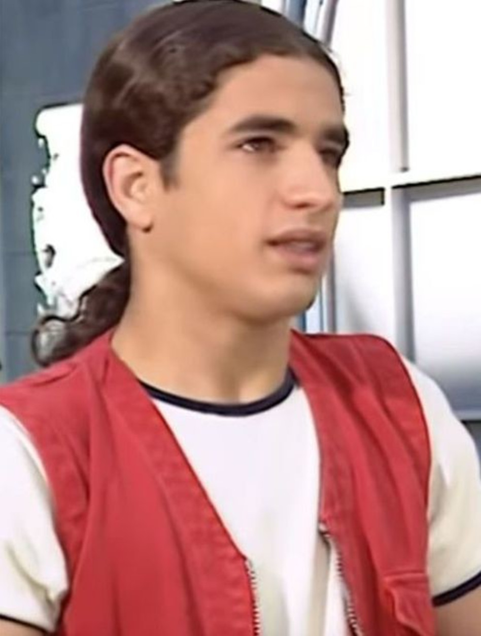 זבוב קטנטנות (צילום: צילום מסך)