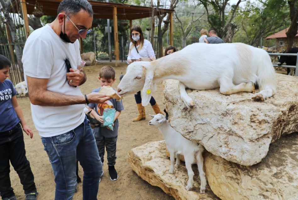 ישראל קטורזה (צילום: רפי דלויה)