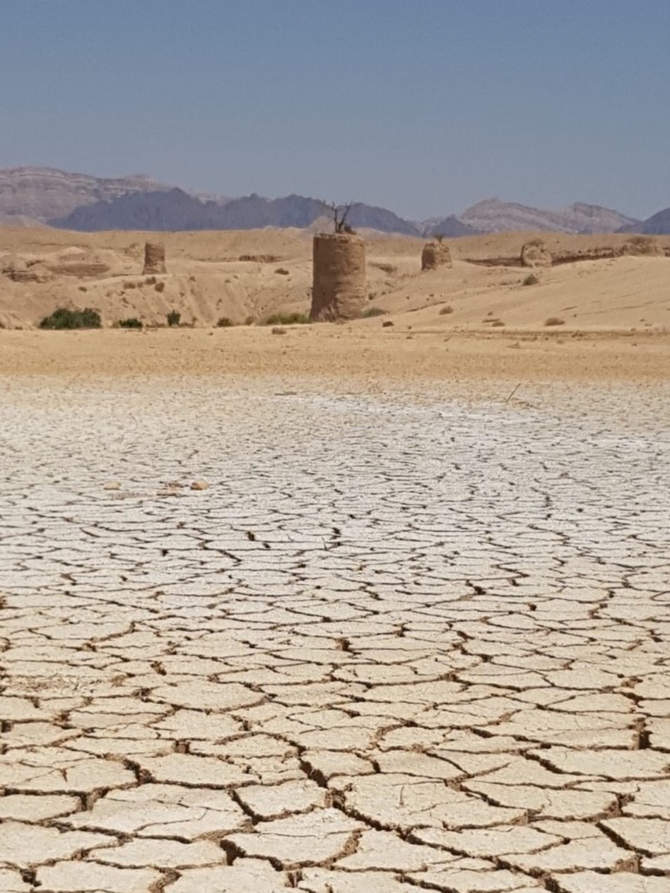 שרון אלון (צילום: פרטי)