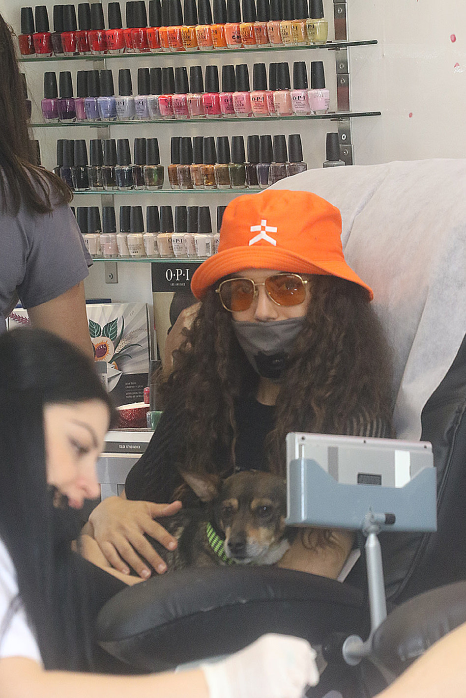 מני פדי בקלאס. שלומית מלכה (צילום: פול סגל)