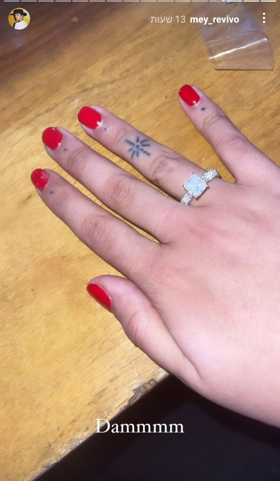 מיי רביבו (צילום: צילום מסך אינסטגרם)