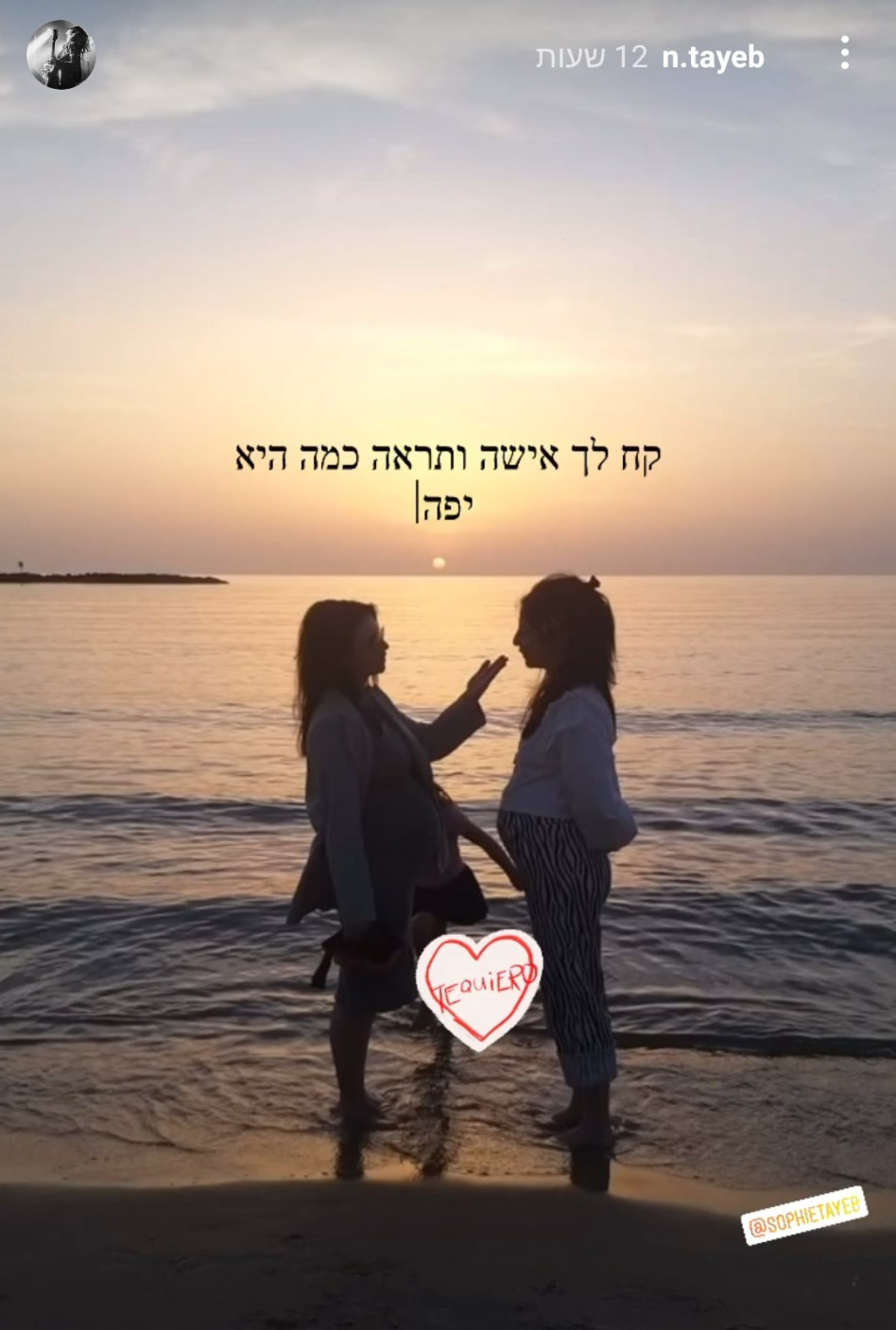 נינט טייב, סופי טייב (צילום: צילום מסך אינסטגרם)