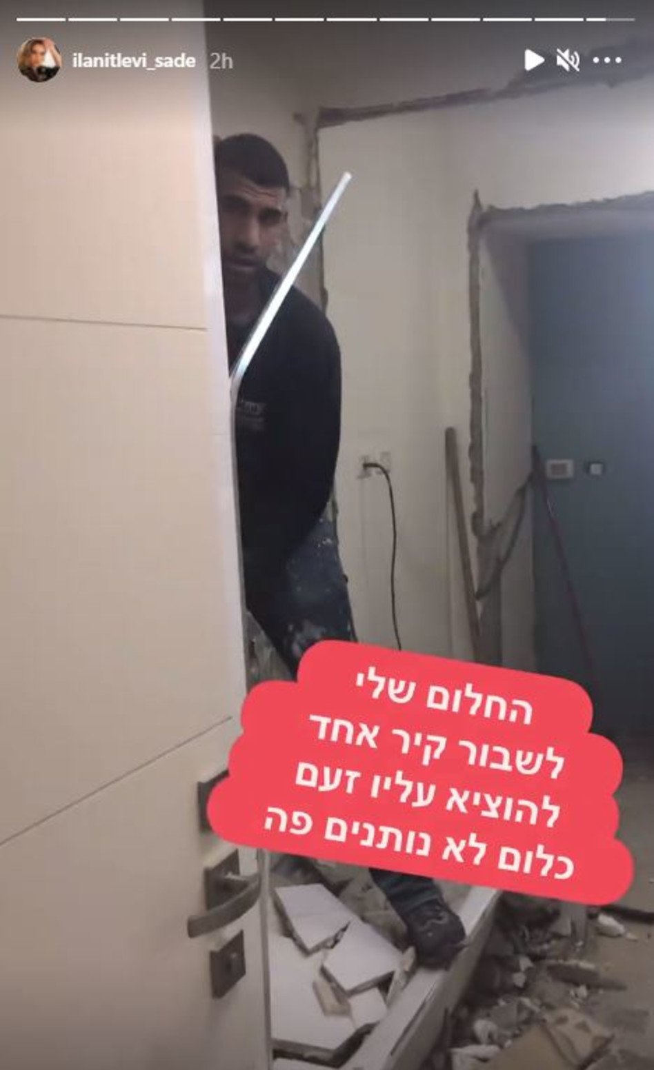 מתה לשבור קיר. אילנית לוי (צילום: צילום מסך אינסטגרם)
