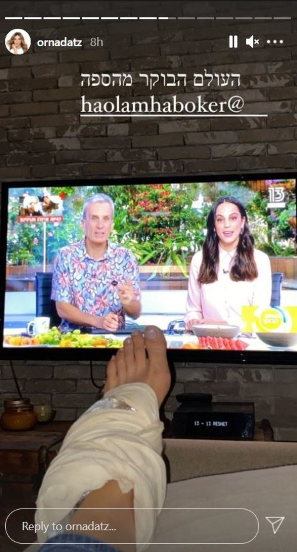 אורנה דץ (צילום: צילום מסך אינסטגרם)