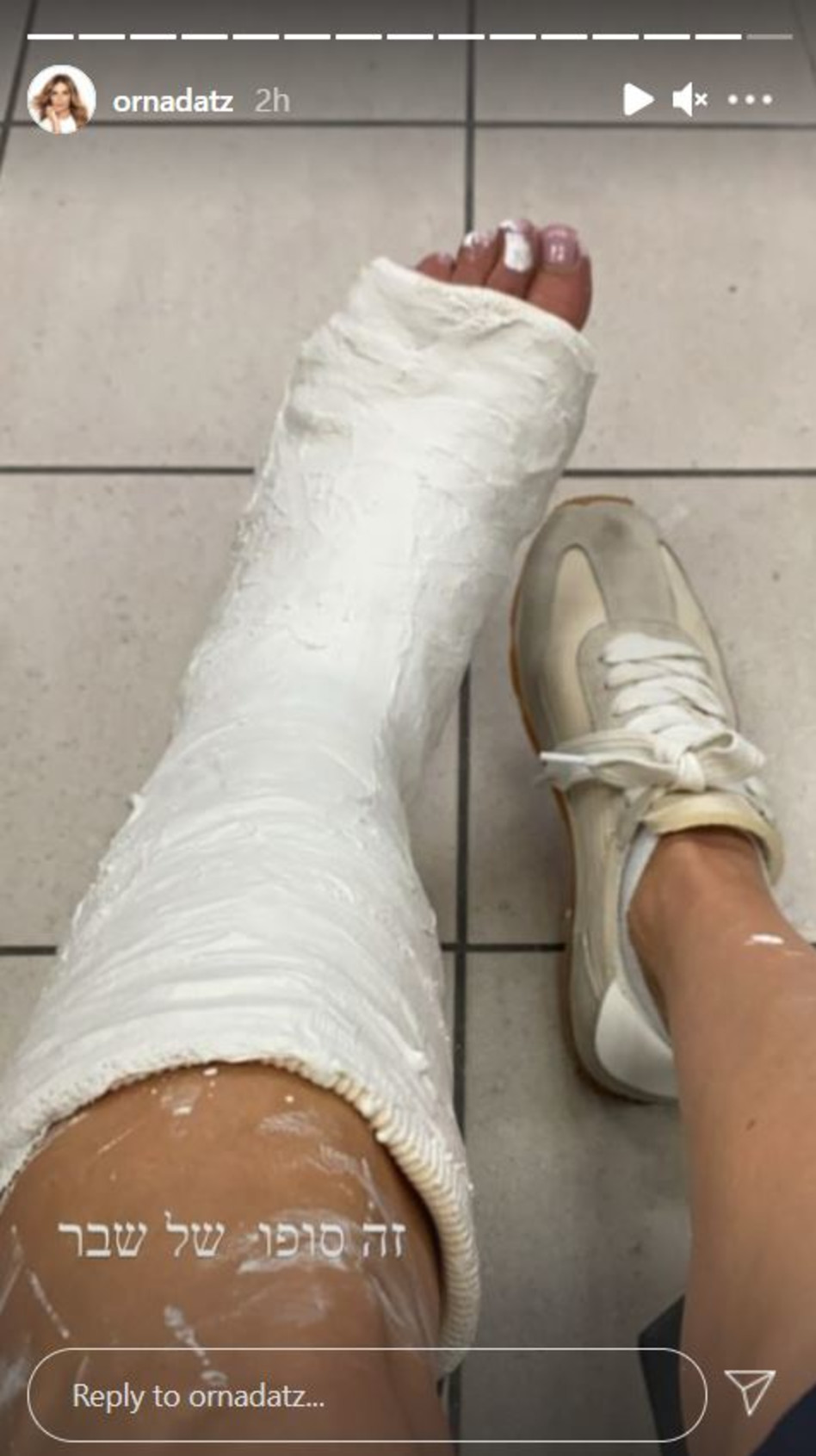 אורנה דץ (צילום: צילום מסך אינסטגרם)