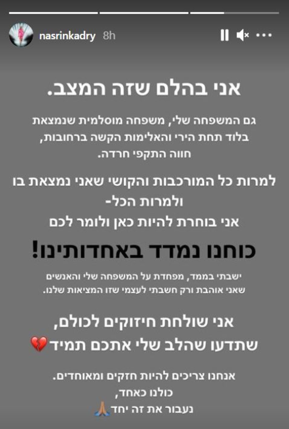 נסרין קדרי (צילום: צילום מסך אינסטגרם)