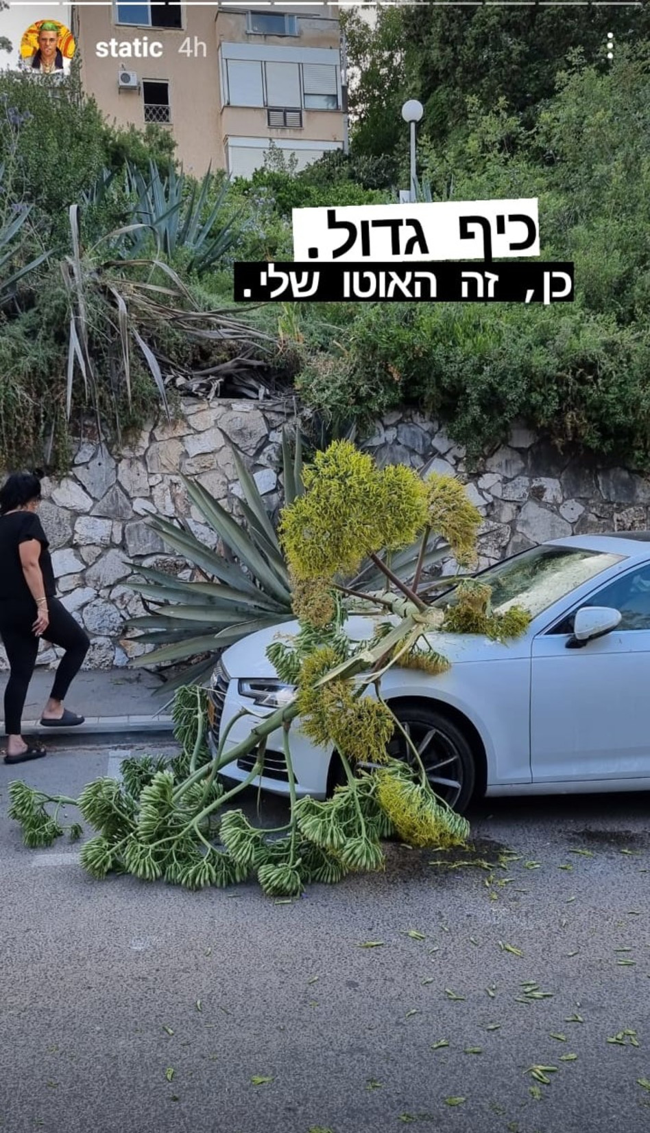 רגע לפני החתונה. האוטו של סטטיק (צילום: צילום מסך אינסטגרם)