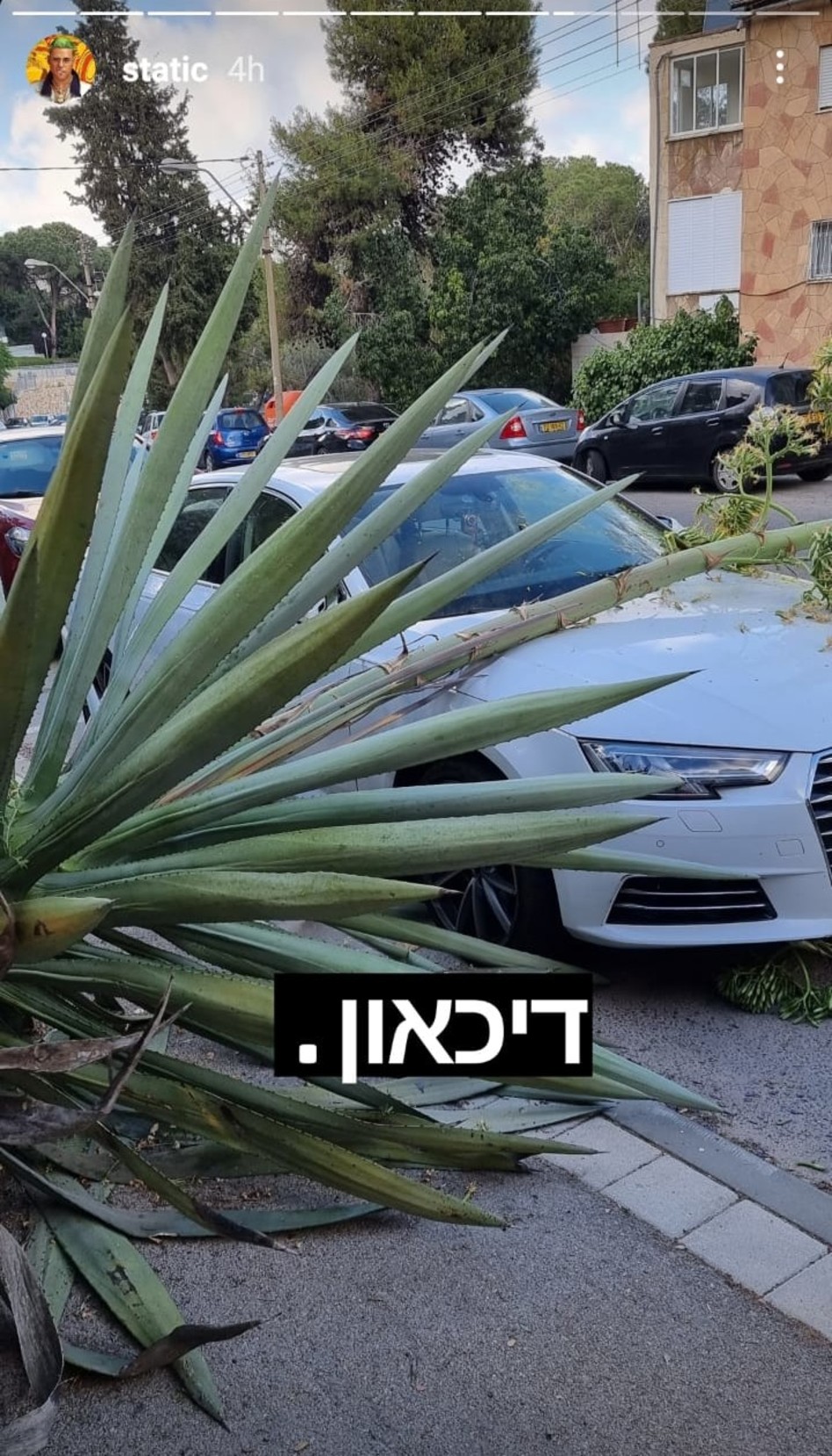 פגע בו עץ. האוטו של סטטיק (צילום: צילום מסך אינסטגרם)